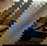 πέδιλα snake skin γκρι/μαύρο