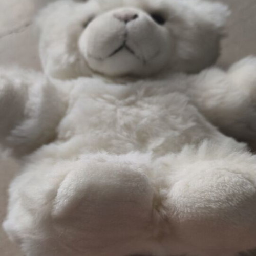 White plush teddy bear used, 30cm height, vintage style