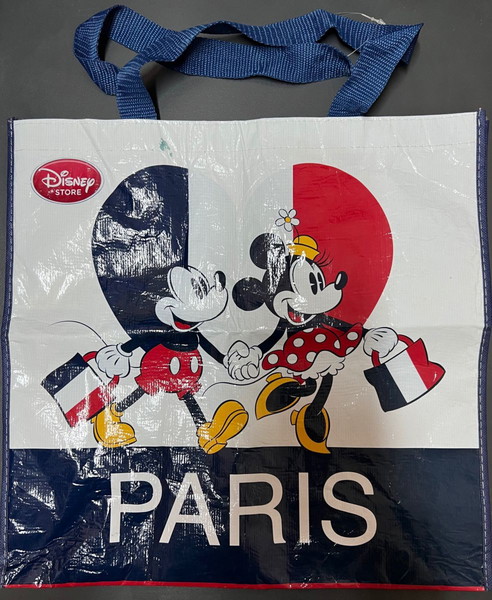 Σακούλα PARIS DISNEYLAND (καινούργια)