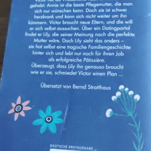 Victor, Lily und der Weg nach Hause novel like new, German