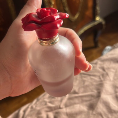 Dolce Gabbana Rosa Eau de Parfum 50 ml used, summer scent