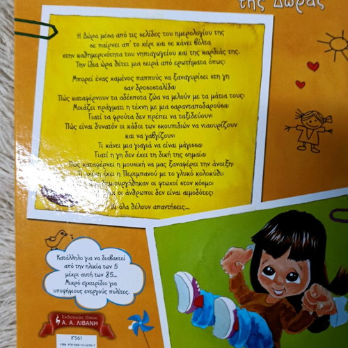 The Diary of Dora children's book like new