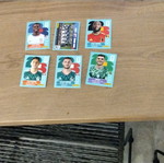 Panini stickers new