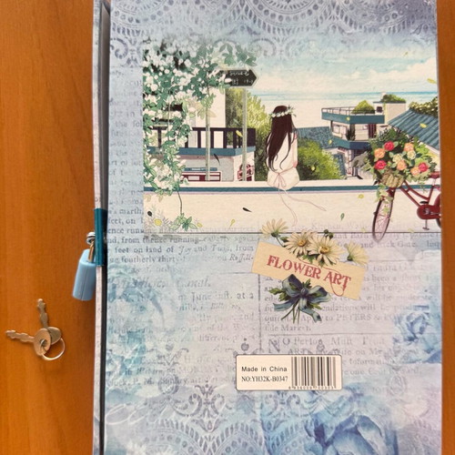 Diary in lockable box new
