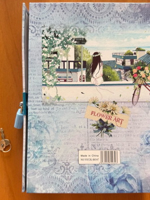 Diary in lockable box new