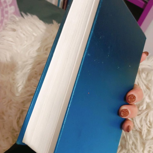 Austria The Blue Guides book used