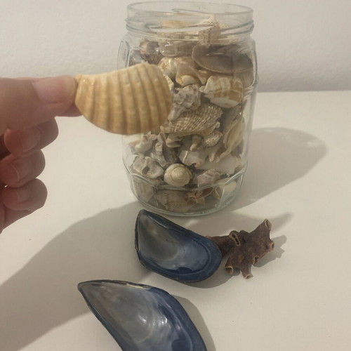 Vase with shells and coral like new for decoration