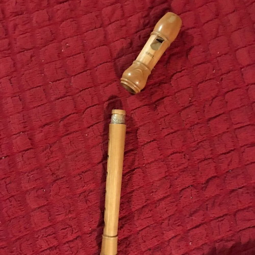 Ariel recorder used from rosewood with free book