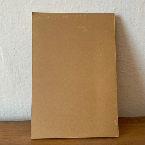 The Metensarkosis – A Hope for the World book used