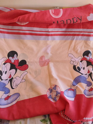 Duvet covers, sheets and pillowcases used for single bed, set of 2