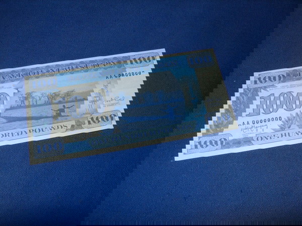 100 Pounds New Sudan 2002, Bank of New Sudan