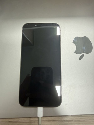 Apple iPhone 13 Pro 256GB gold with cracked back and case