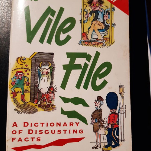 The Vile File book like new, English