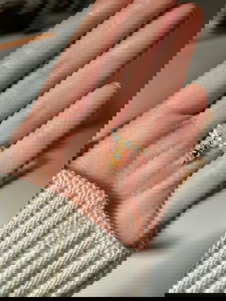 Fresh water pearl δαχτυλίδι με ορειχάλκινο κοχύλι