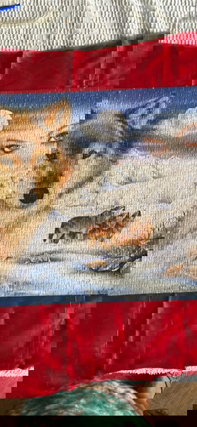 Πίνακας από puzzles,λύκος σε χιονισμένο τοπίο.
