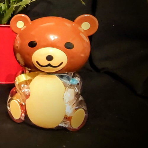 Bear Piggy Bank with Modeling Clay New