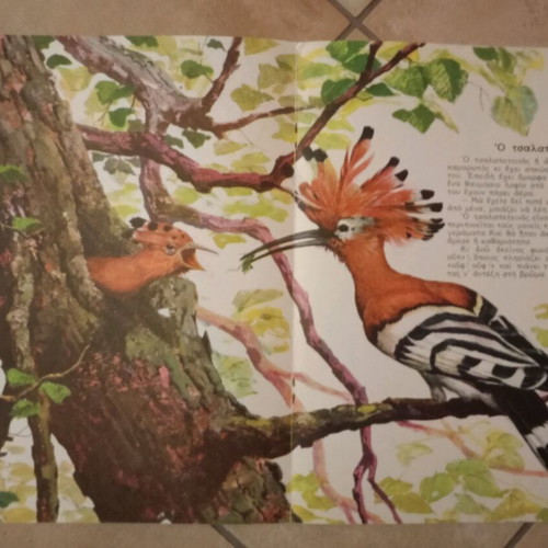 Colors Birds Feathers book like new