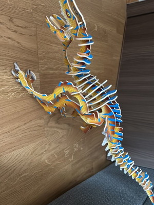 Dinosaur puzzle used