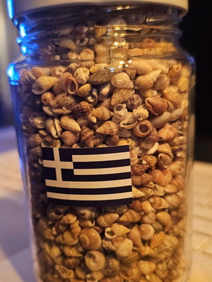 Super Mini Seashells in Jar like new for Decoration or Crafts
