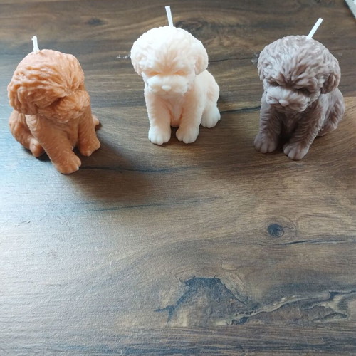 Aromatic candle puppies new, handmade chocolate caramel scent