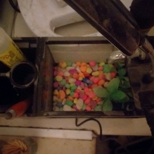 Mini aquarium pencil holder used with LED lighting