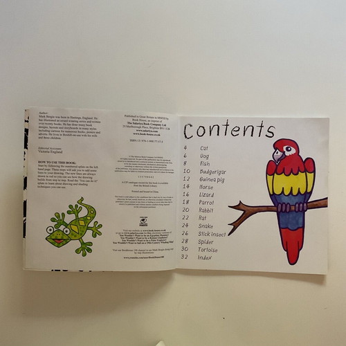 Painting book new, English, children's pets theme
