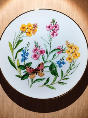 Schumann decorative plates collection of 6, like new