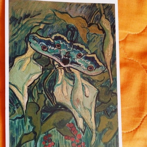 Van Gogh Museum original postcard like new
