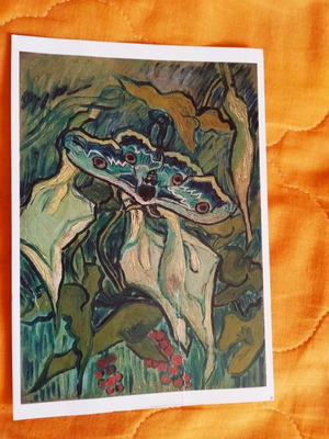 Van Gogh Museum original postcard like new
