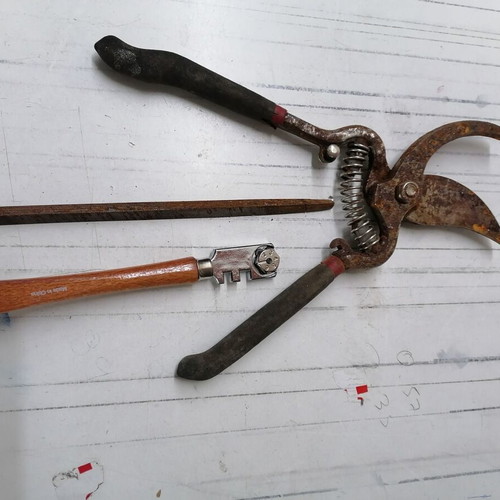 Retro pruning shears used with file for irons