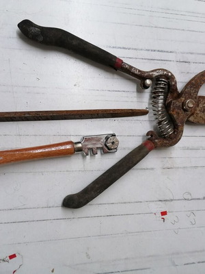 Retro pruning shears used with file for irons