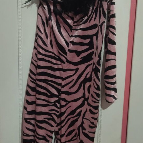 Carnival cat costume like new