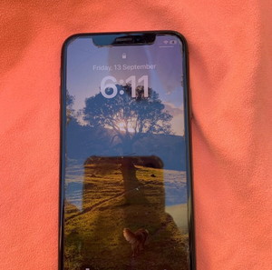 iPhone X 256gb