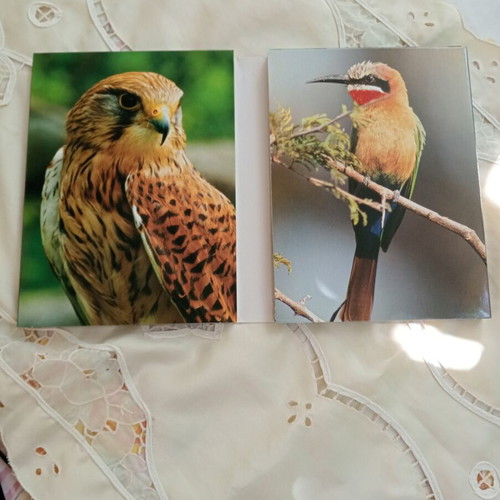 The Life of Birds BBC 3 DVD used, dubbed, documentary