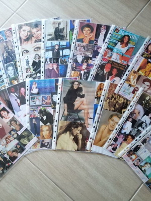 Celine Dion Handmade Collage Collection used, 14 pages