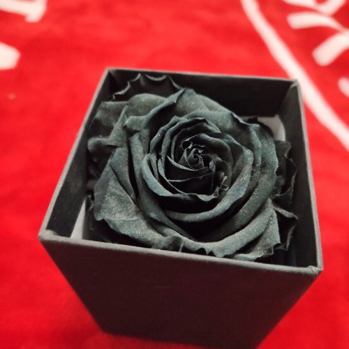 Black Forever Rose used, small box in luxury packaging
