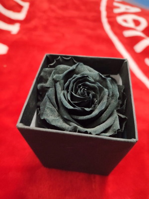 Black Forever Rose used, small box in luxury packaging