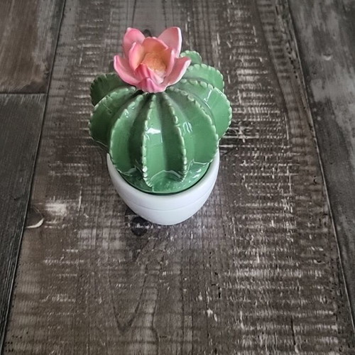 Decorative porcelain cactus new