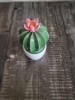 Decorative porcelain cactus new