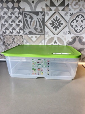 Smart Cooling Container 9.9L New