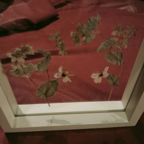 Transparent frame with dried flower composition like new