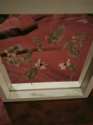 Transparent frame with dried flower composition like new