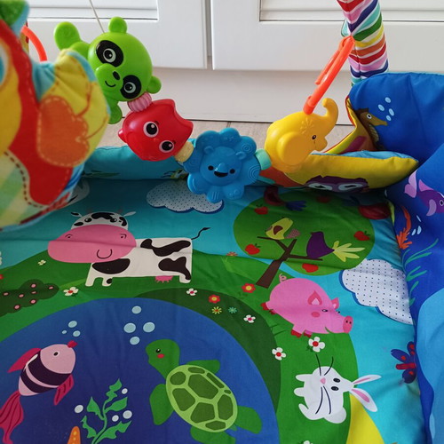Lionelo Anika Baby Gym and Activity Mat like new with Accessories