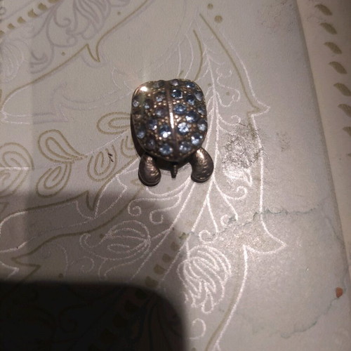 Turtle used with removable legs and head