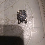 Turtle used with removable legs and head
