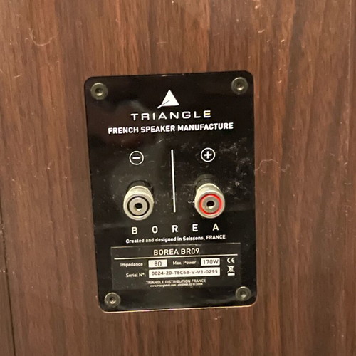 Triangle BOREA BR09 floor speakers used, walnut color
