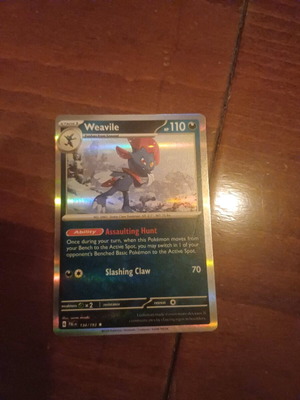 Pokemon card new