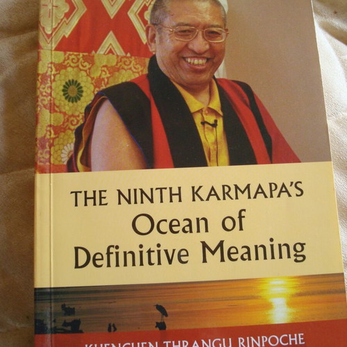 The Ninth Karmapa's Ocean of Definitive Meaning book like new