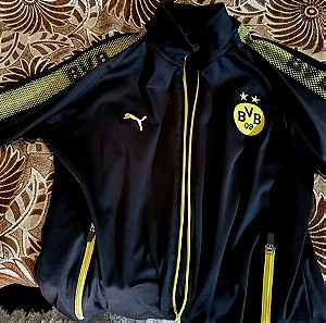 Jacket puma Dortmund