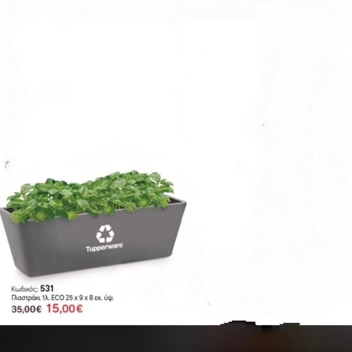 Tupperware flowerpot new